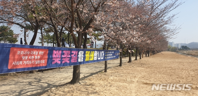 갯골생태공원 벚꽃길 출입통제 안내문.