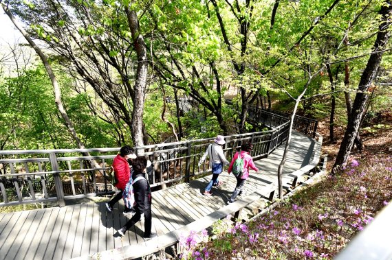 서울 노원구 영축산 순환산책로. 사진=노원구