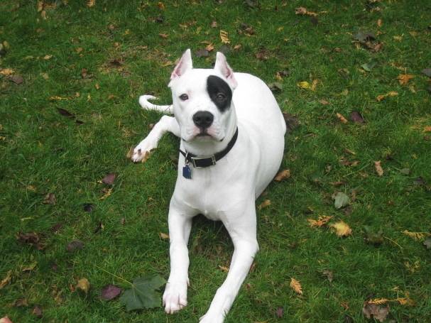 해당 사진은 기사 특정 내용과 무관함. 뉴스1