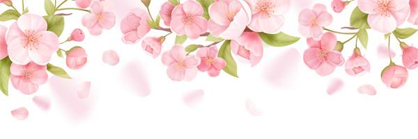 [사진 제공 = 게티이미지뱅크]