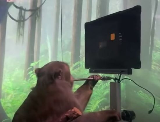 원숭이가 조이스틱을 잡고 비디오 게임을 배우고 있다. [사진=유튜브 영상 캡처]