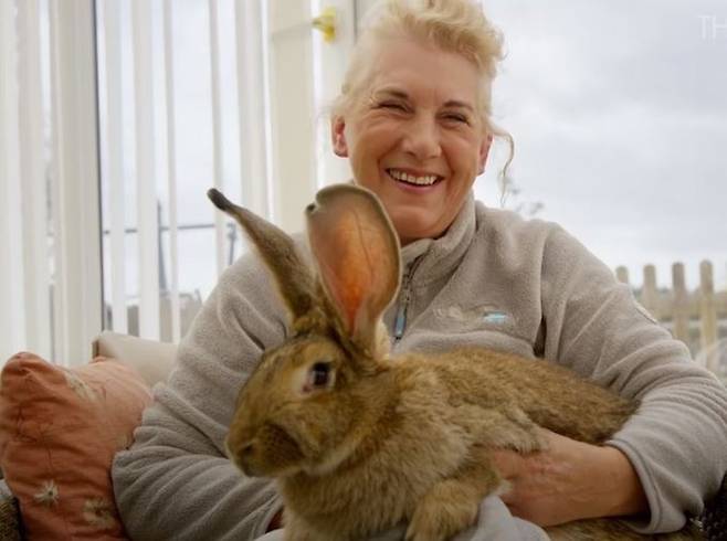다리우스와 에드워즈. 유튜브 채널 'CBC Docs' 캡처