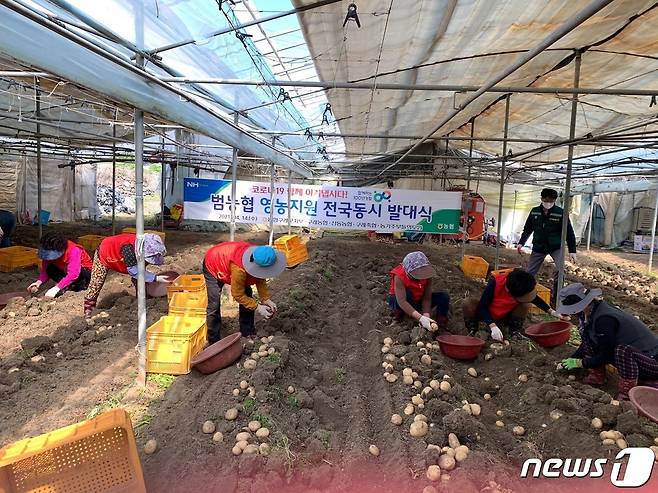 농촌일손돕기.(농협 구례군지부 제공)/뉴스1 © News1