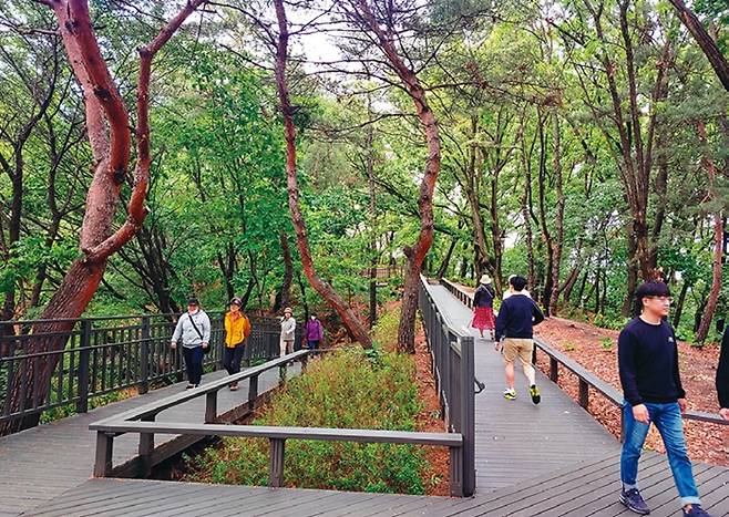 영축산 순환산책로