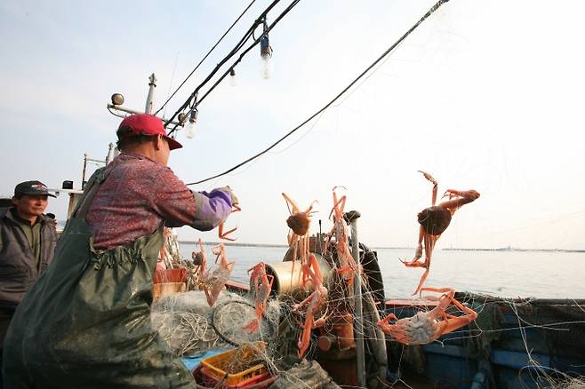 경북도가 일본 후쿠시마 방사능 오염수 방류에 대비해 동해안 수산물 방사능 검사를 강화한다.(사진=경북도 제공)