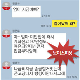 금융감독원 제공