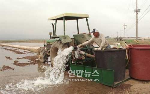 메마른 논에 물대기 [연합뉴스 자료사진]