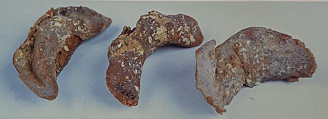 1300여년 전 당나라 때 묘지에서 출토된 만두(교자) 유물./박정배