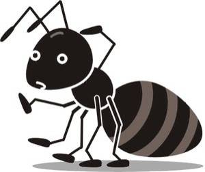 곤충과 한국 남성을 비교하는 작업의 의미에 대해서도 비판이 쏟아진다. 같은 취지라면 '맘충'이란 용어에서 출발해 개미집단과 한국 엄마들의 인간관계를 비교하거나, '김치녀'라는 용어에서 착상해 발효기술과 여성들의 특질을 비교해도 의미있는 연구가 된다는 결론이다. 성숙한 사람이라면 부적절한 접근법이라고 판단할 만 하다. fnDB