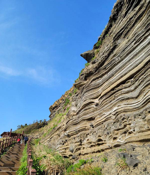 수월봉 화산재 지층 절벽