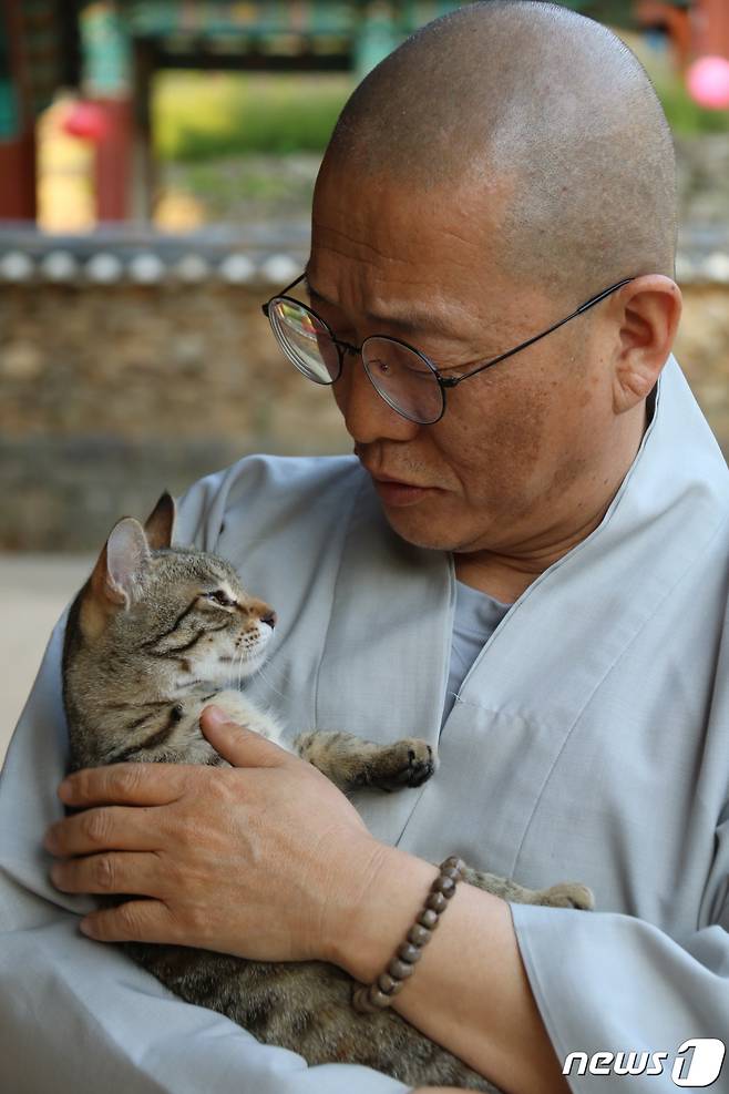 광주 증심사 주지 중현스님이 사찰에 찾아온 고양이와 눈빛을 나누고 있다. (제공 광주 증심사)© 뉴스1