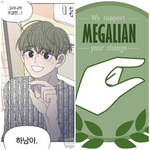 네이버웹툰 ‘바른연애 길잡이’(왼쪽)의 한 장면과 여성주의 커뮤니티 메갈리아의 로고(오른쪽).