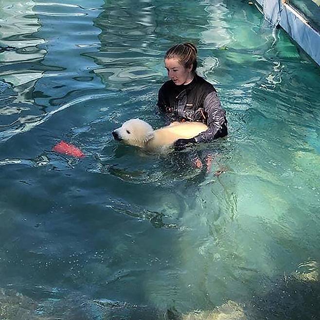 / 사진=겔렌지크 사파리공원