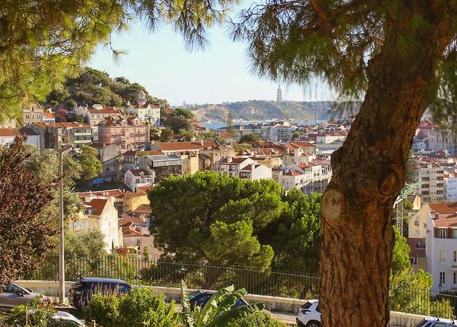 초록과 주황은 리스본을 위한 색이다