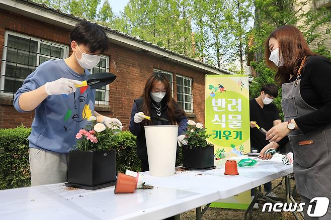 한남대 학생들이 직접 향장미를 심어 자신의 반려식물을 만들고 있는 모습 © 뉴스1