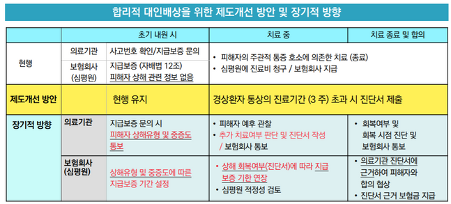 합리적 대인배상을 위한 제도개선 방안 및 장기적 방향 ⓒ보험연구원