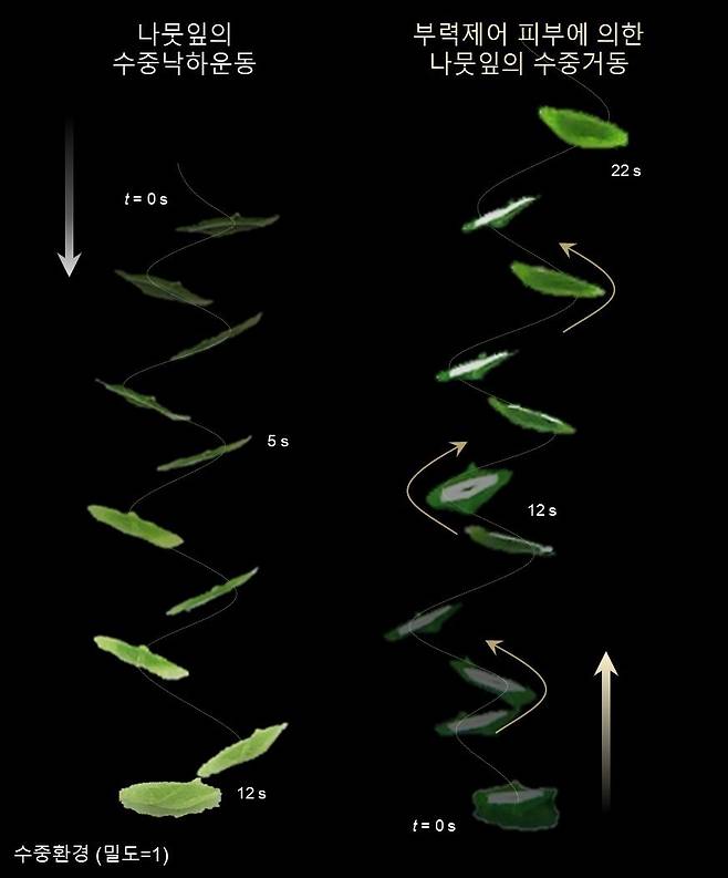 나뭇잎의 팔랑거리는 낙하운동에서 영감을 받아 제작된 나뭇잎 로봇의 수중 거동. 서울대 제공
