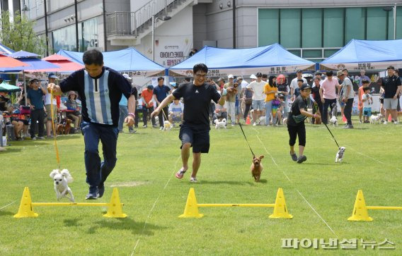 2019년 시흥 반려동물 문화축제. 사진제공=시흥시