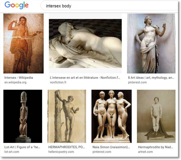 ▲ 인간은 아담과 이브 이래 생물학적으로 남과 여만이 존재한다고 맹신하는 사람은 유사 이래 간성이 실재해왔다는 사실을 인식하고 더 나아가 성 정체성이 다양하다는 현실을 인정해야 할 것이다. 사진=google 간성(intersex) 검색 갈무리