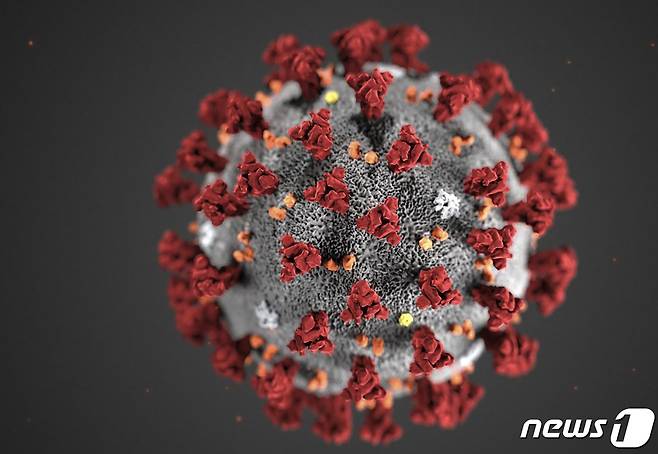 미국 CDC가 공개한 코로나 바이러스 이미지 © 로이터=뉴스1