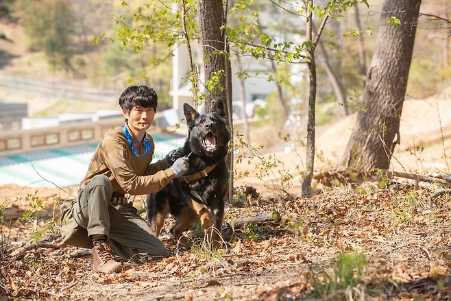 세 살배기 셰퍼드 듀블로가 수색 훈련에 나선 모습. /임화승 영상미디어 기자