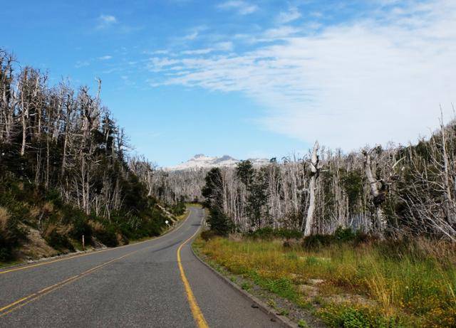 누구도 건드릴 수 없는 어떤 성역과 같은 느낌. 칠레에서 아르헨티나 바릴로체(Bariloche)로 향하는 국경선이 그러했다. ⓒ강미승