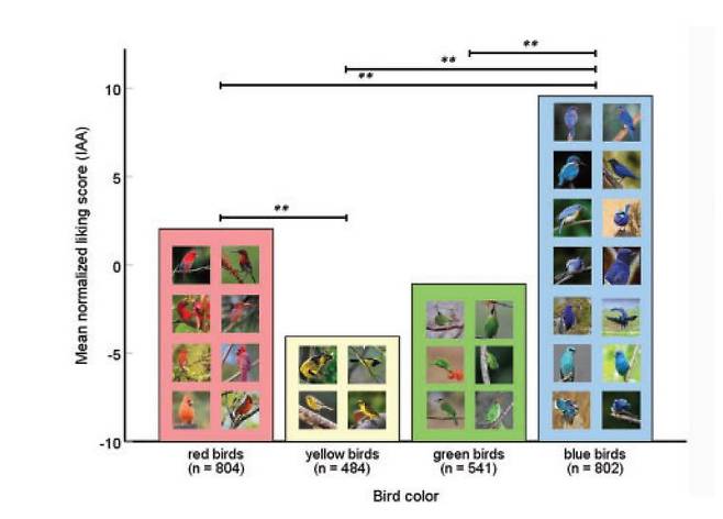 인스타그램에서 인기 있는 새는 붉은색과 파란색이 많았다./i-Perception