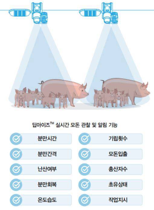 딥아이즈 주요 기능. 엠트리센 제공