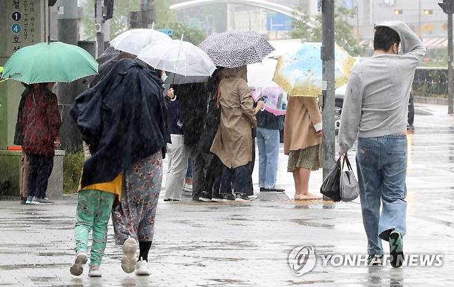 갑자기 강한 비 [연합뉴스 자료사진]