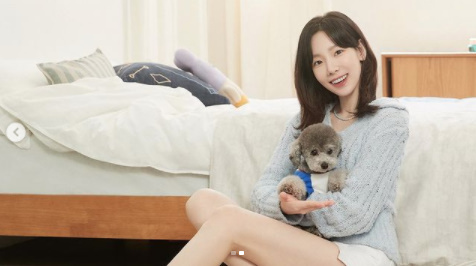 Taeyeon, a member of the group Girls Generation, unveiled a happy time with Pet Xero.On the afternoon of the 6th, Taeyeon posted a series of videos and photos on his personal Instagram, saying, We are Xero so good.Inside the picture is Taeyeon, who seems to be shooting AD, and Xero in the arms of Taeyeon.Pet Xeros beauty (?), which looks akin to Taeyeon, is impressive.At the end of Taeyeon, Girls Generation Swimming commented, Im crazy, Xero.Taeyeon is currently appearing on TVN entertainment Amazing Saturday.taeyeon Instagram