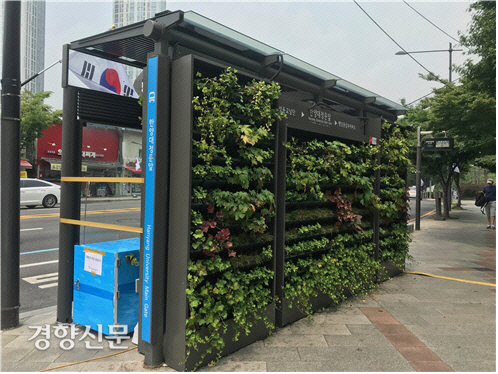 2018년 공기정화용 식물이 시험 설치된 한양대역 근처 버스 정류장 모습. 한쪽 벽면이 식물로 가득하다. 한국건설기술연구원 제공