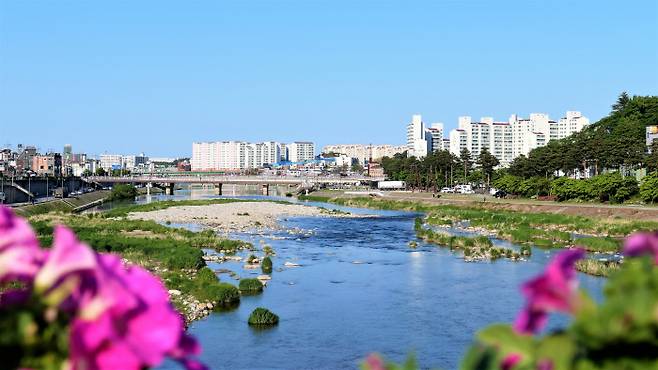 내곡교에서 바라본 남대천. 좌측에 강릉의료원 삼거리쪽에 강릉 읍성 남문인 어풍루가 들어섰다. ‘어풍’은 신선이 바람을 탄다는 뜻이다. 바람 많은 강릉에서 이 자연 현상을 다스리려는 의지를 담은 이름이라고 한다.