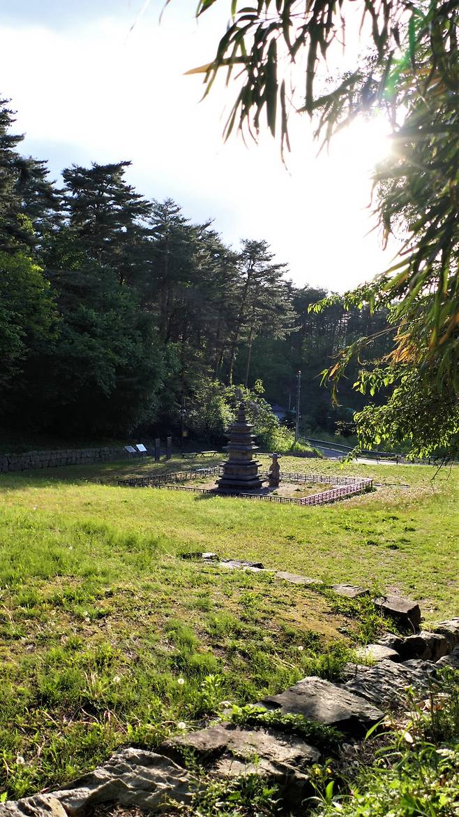 신복사지 문헌 기록은 없다고 한다.석조보살좌상과 삼층석탑, 가람배치가 전형적인 고려 양식이라고 한다.