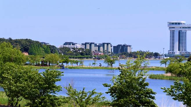 운정교에서 바라본 경포가시연습지와 경포호 일대. 운정교 왼쪽으로 선교장, 오죽헌 가는 길이 이어진다.