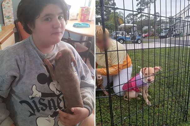 반려견을 구하려다 목숨을 잃은 릴리 베이슬러(11). 로라 알덴 제공. WFLA 캡처