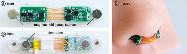 냄새 방향 알려주는 후각 보조 센서. 양 끝에 자석이 있어 콧구멍을 나누는 중비격에 끼울 수 있다. 센서에는 전극과 블루투스 무선 통신 장치가 들어있다./미 시카고대