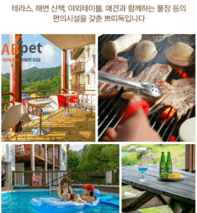 출처: 반려동물종합포털 에이비펫(ABpet)