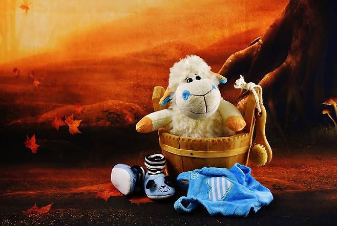 출처: 이미지출처[pixabay]