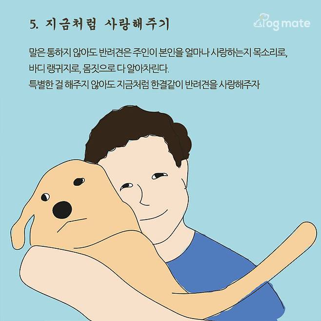 출처: 도그메이트