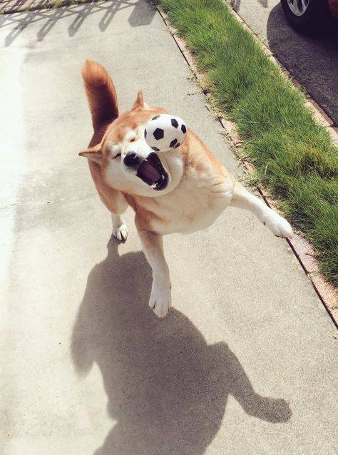 출처: 핀터레스트