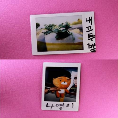 출처: korea_grandma 인스타그램