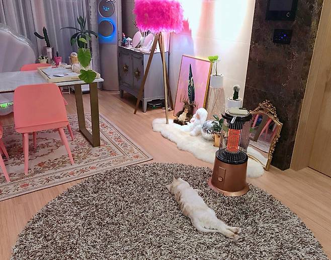 출처: 꿀하우스