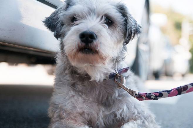 출처: 오늘의 모델