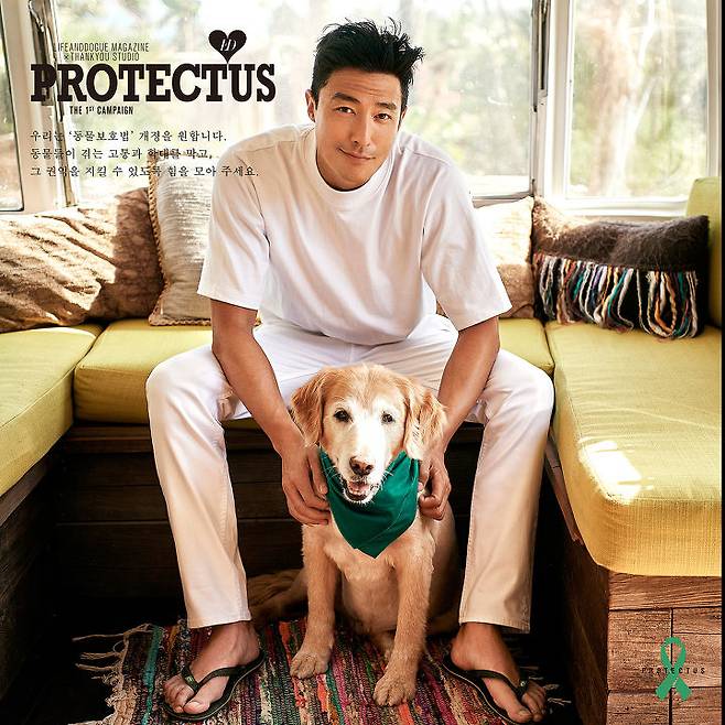 출처: 라이프앤도그