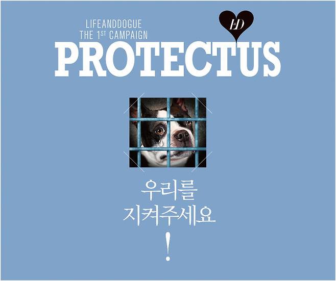 출처: 라이프앤도그