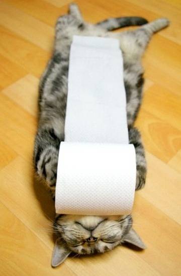 출처: 티스토리 yuyu3795