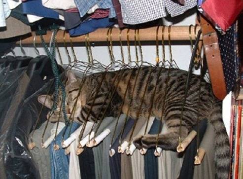 출처: 다음카페 - 러브앤캐시2