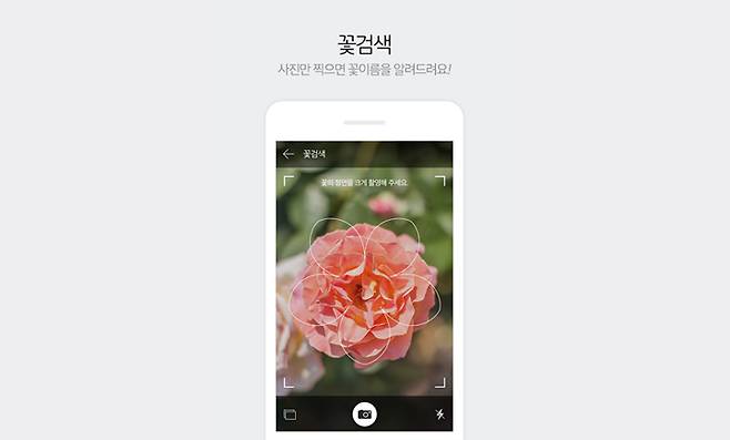 사진만 찍으면 '꽃이름'을 알려주는 신기한 앱 | 콘텐츠랩
