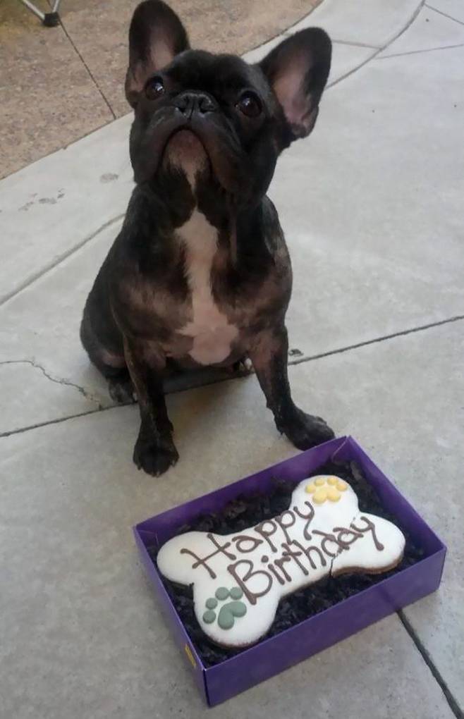 출처: 보어드판다