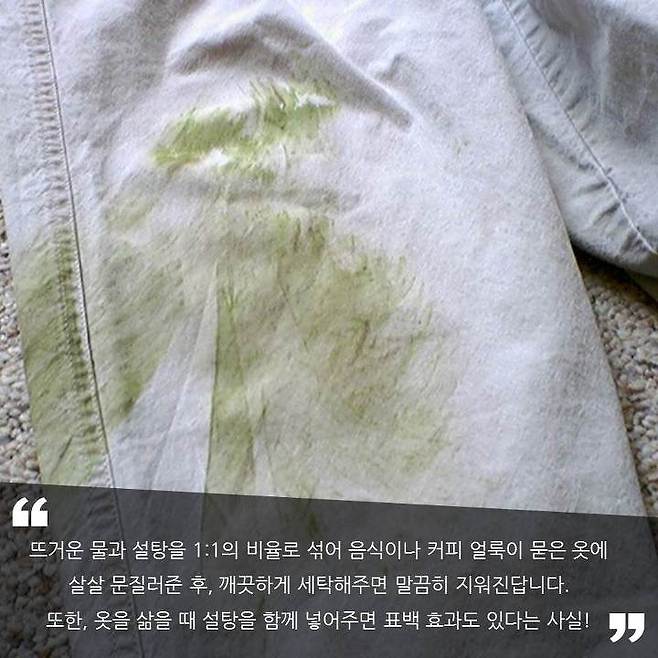 출처: Betterhousekeeper